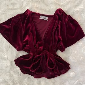 Urban Outfitters Cropped Velvet Top